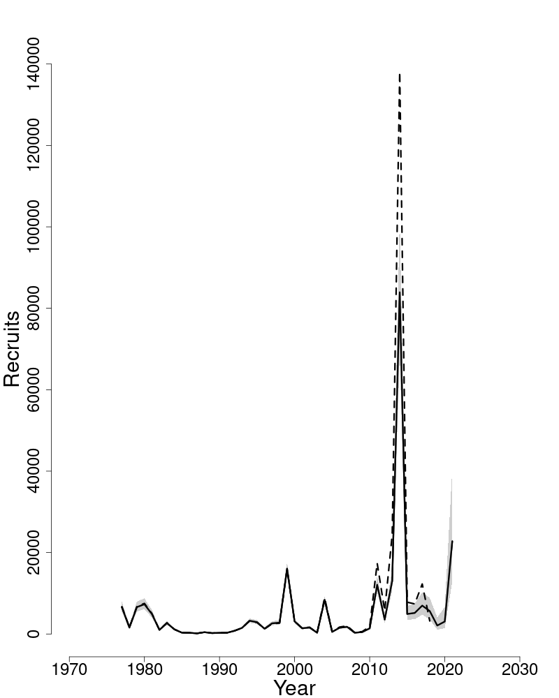 Estimated trends in recruitment of Gulf of Maine haddock. 