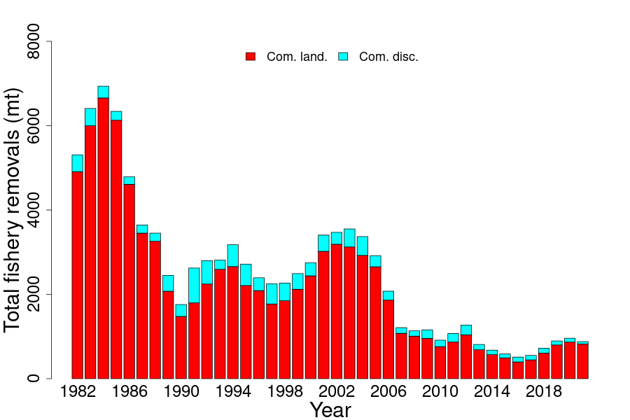 Abundance indices for witch flounder. 