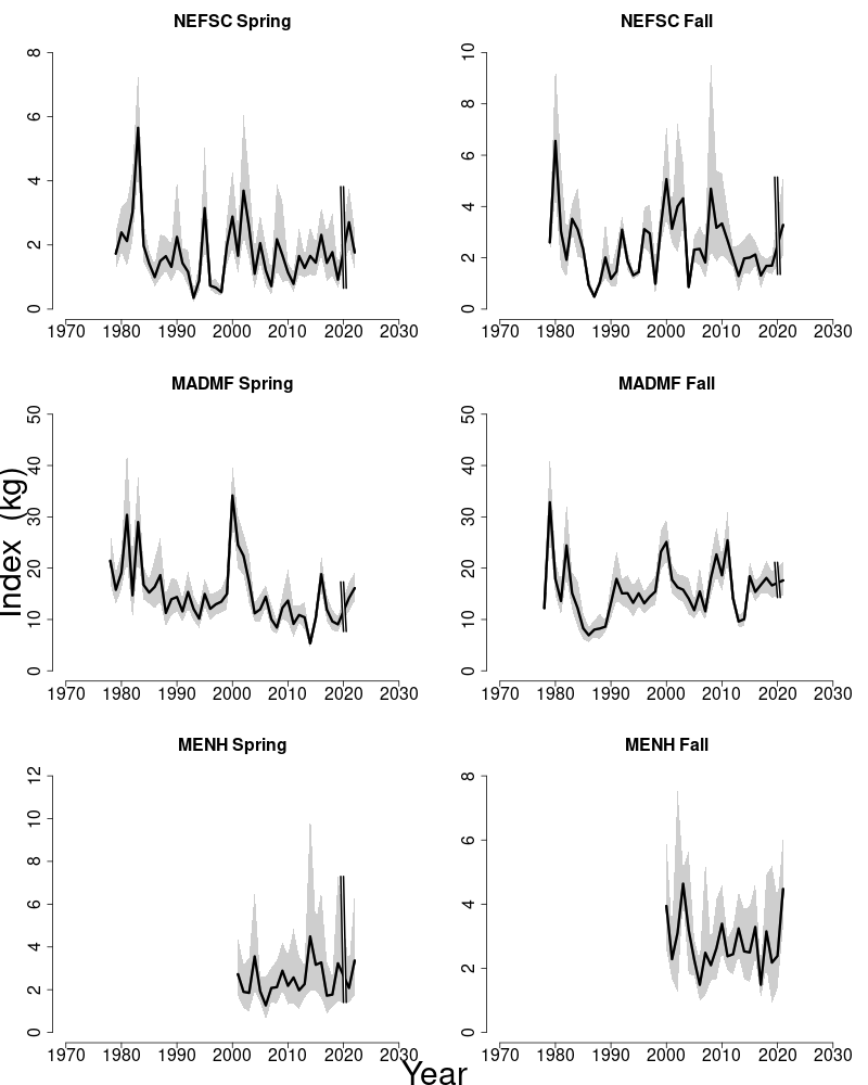 Abundance indices for Gulf of Maine winter flounder. 