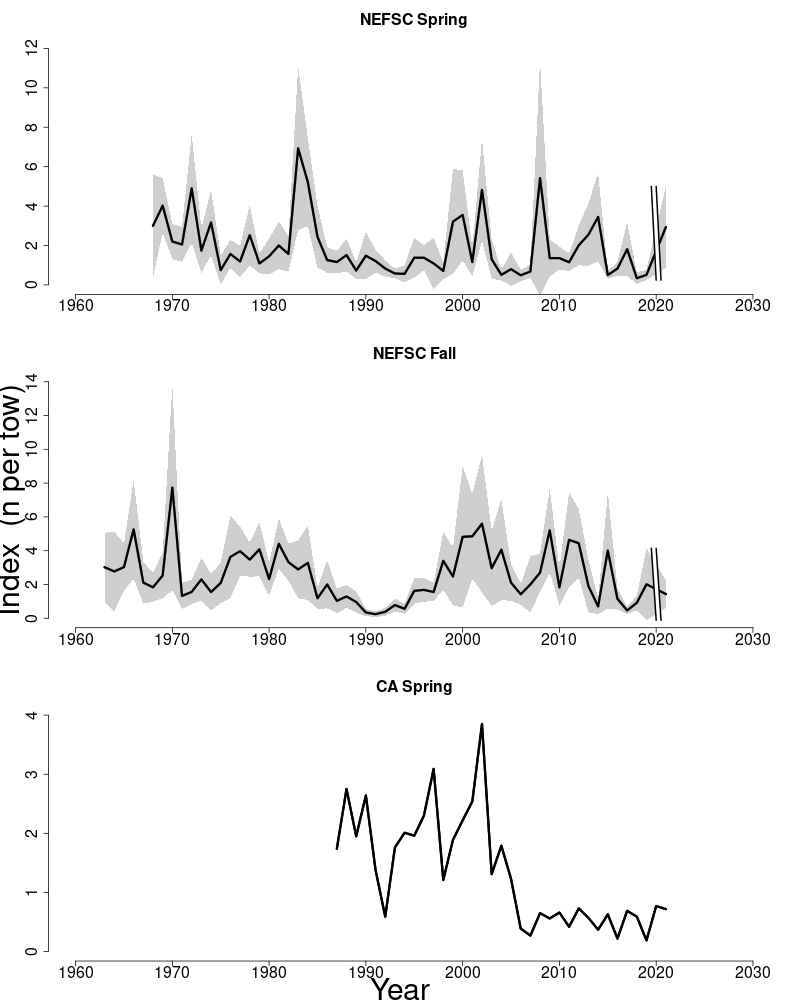 Abundance indices for Georges Bank winter flounder. 