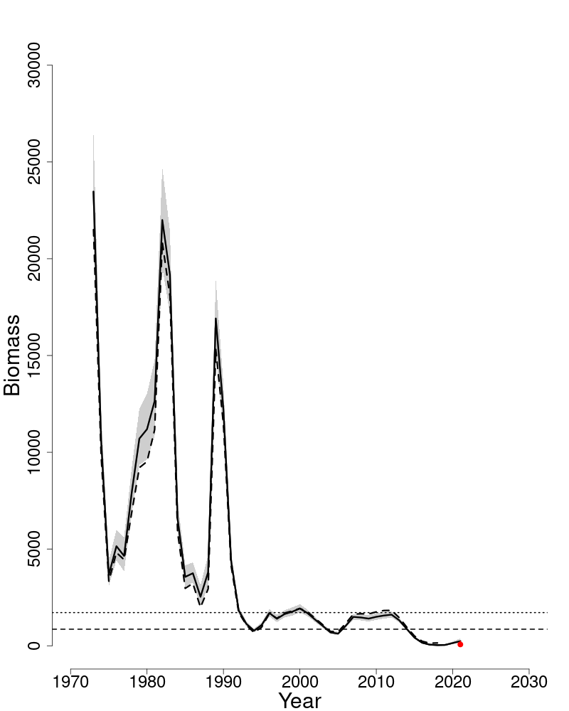 Spawning stock biomass trends over time for SNEMA yellowtail flounder. 