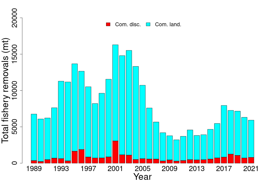 Total catch of Northern monkfish. 