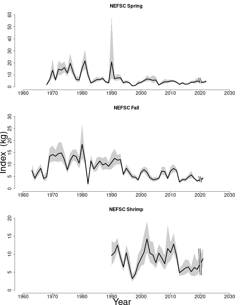 Abundance indices for white hake. 