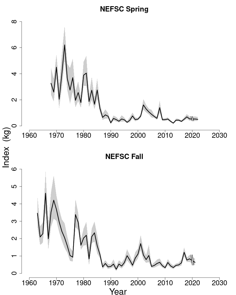 Abundance indices for witch flounder. 