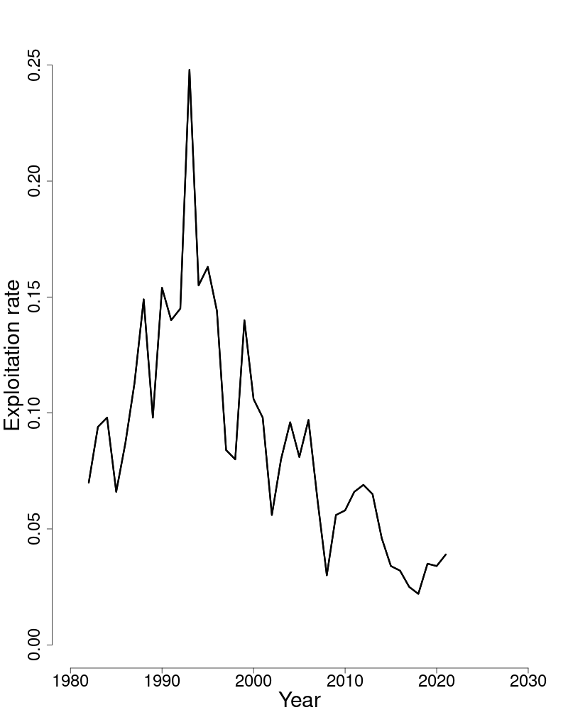 Fully selected fishing mortality trends over time for witch flounder. 