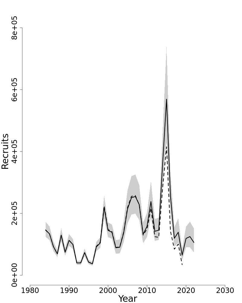 Estimated trends in recruitment of Scup. 