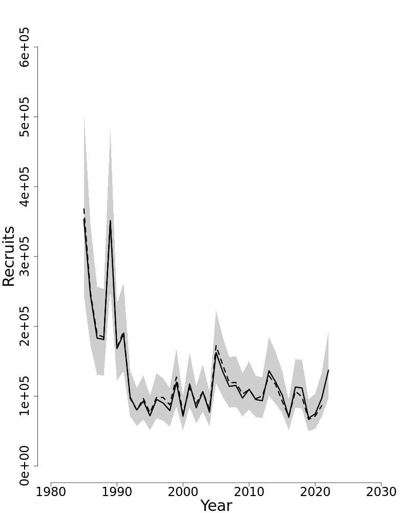 Estimated trends in recruitment of Atlantic bluefish. 