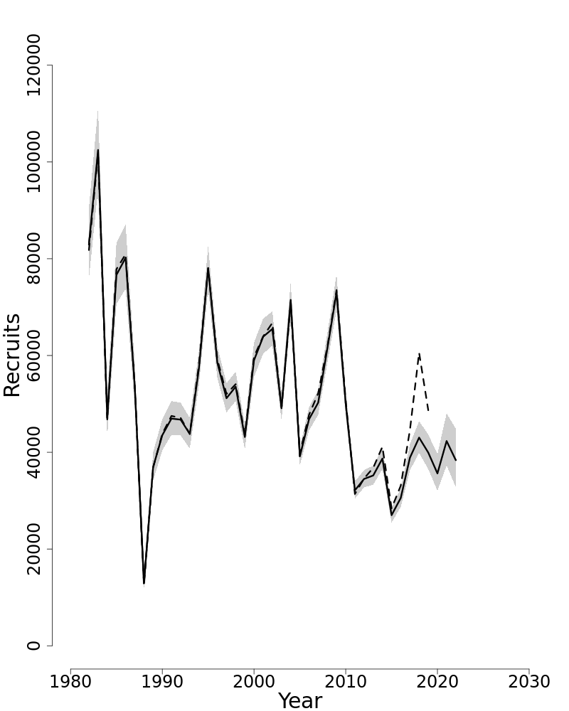 Estimated trends in recruitment of Summer flounder. 