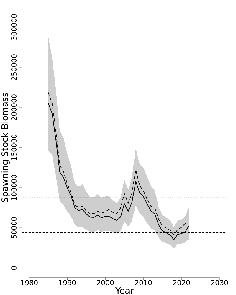 Spawning stock biomass trends over time for Atlantic bluefish. 